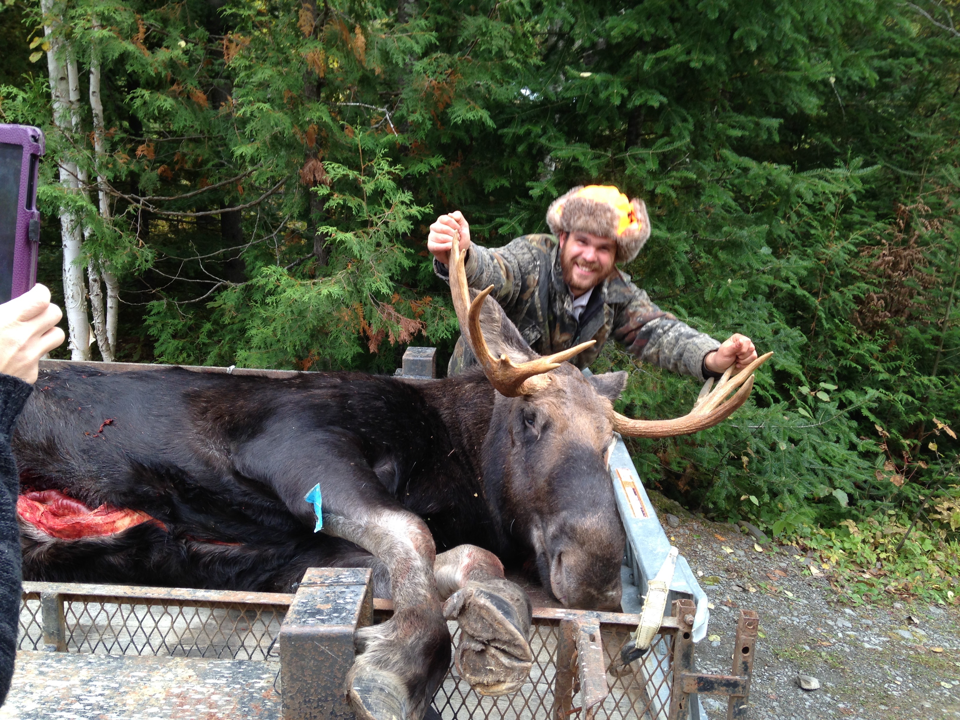 David with his first moose