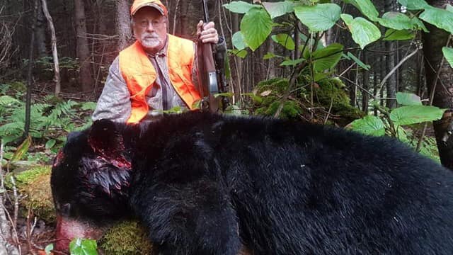 Big bear with gun shot.